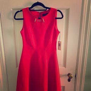 Ivanka Trump dress
